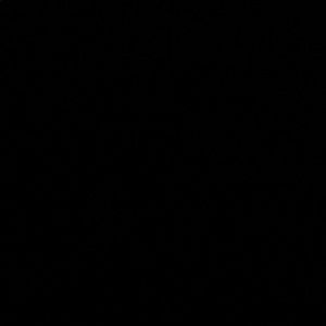 Meet your Posher, Jake